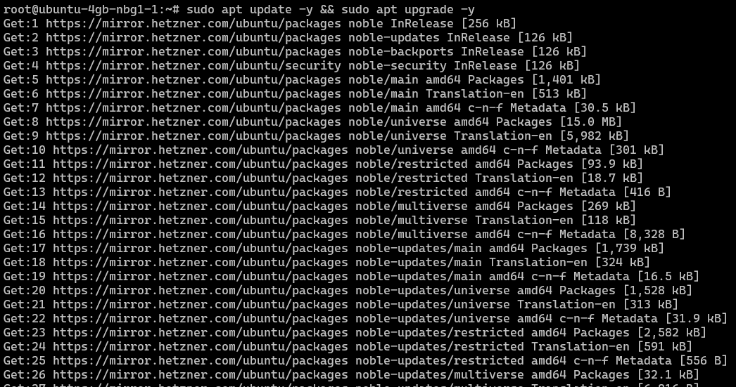 Hetzner server update