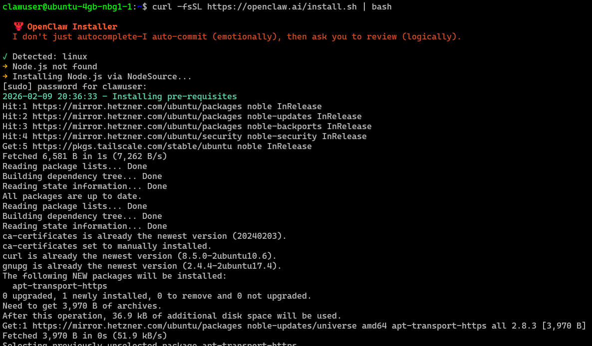 OpenClaw installation