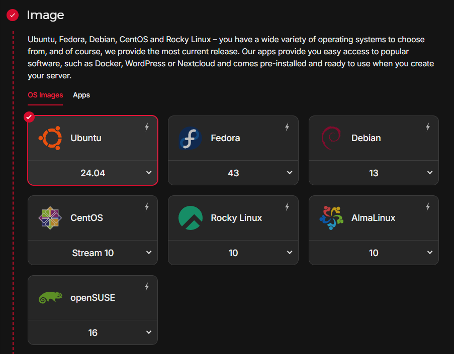 Hetzner server image